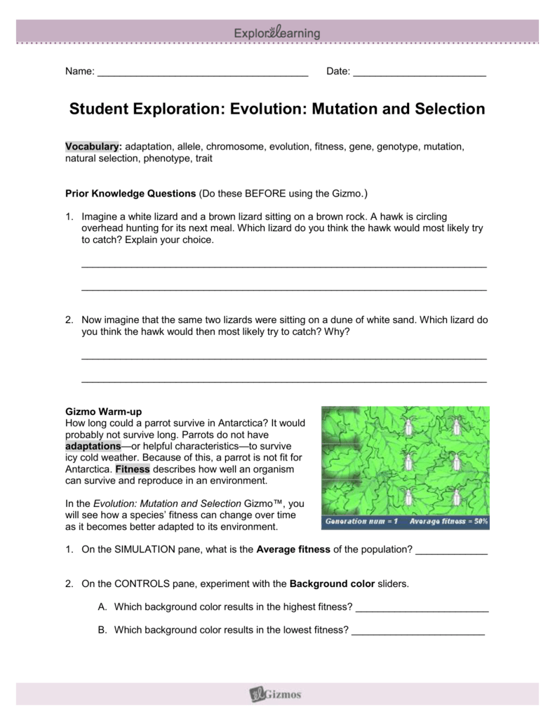 Student Exploration Evolution Natural And Artificial Selection Asnwers